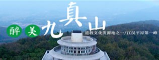 干B在线观看区