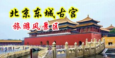 thep1856.操屄大鸡吧白浆在线观看中国北京-东城古宫旅游风景区