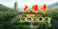 5557影视操逼去老相好家操逼中国浙江-新昌大佛寺旅游风景区